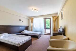 Отель Hotel Restaurant Alesia Корунка Улучшенный двухместный номер с 1 кроватью или 2 отдельными кроватями и террасой-5